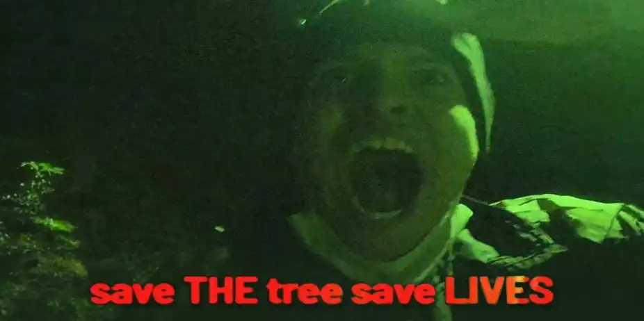 Save the trees save the lives
