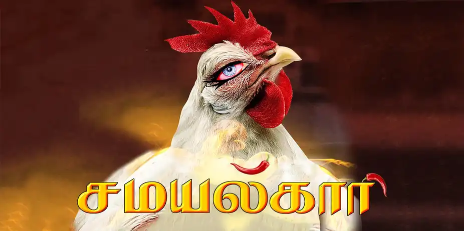 Samaikaari