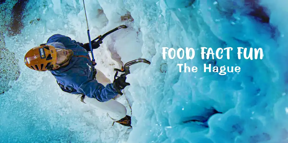 Exploring The Fun Side Of The Hague