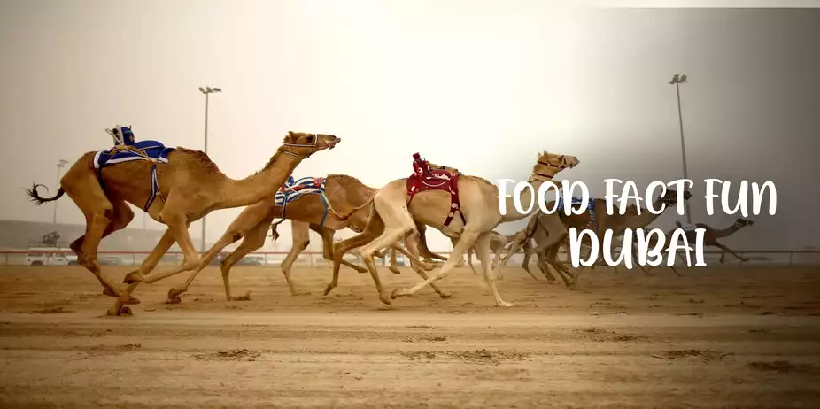 Food Fact Fun Dubai