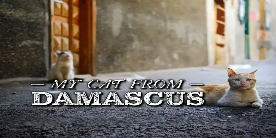 My Cat from Damascus