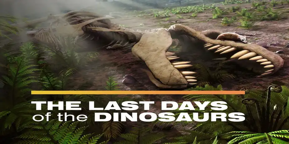 The Last Days of the Dinosaurs