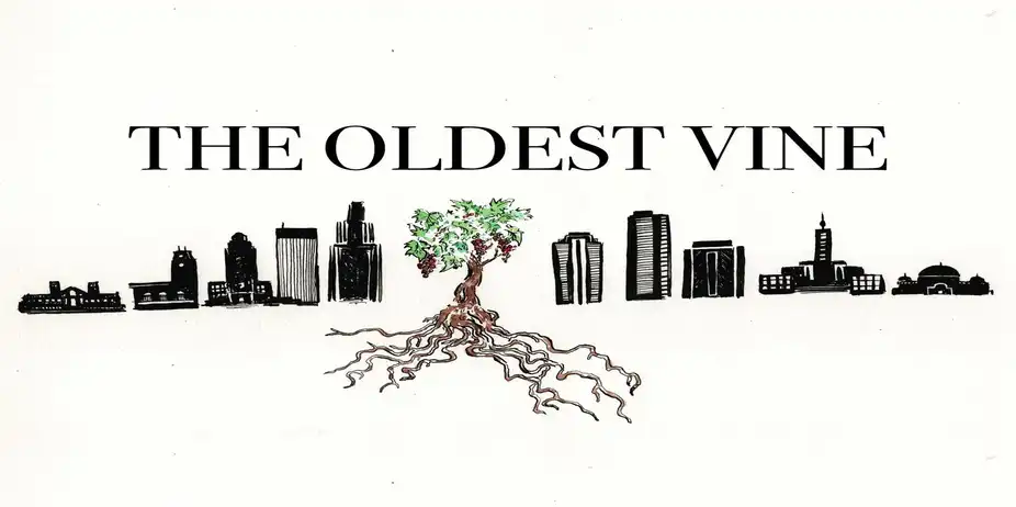 The Oldest Vine