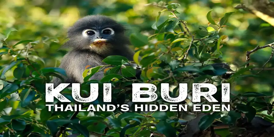 Kui Buri: Thailand's Hidden Eden
