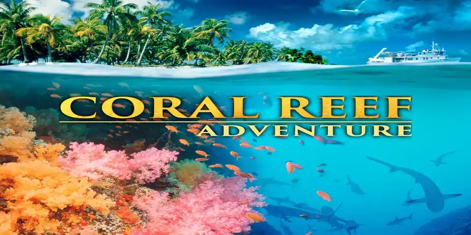 Coral Reef Adventure