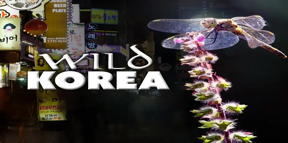 Wild Korea