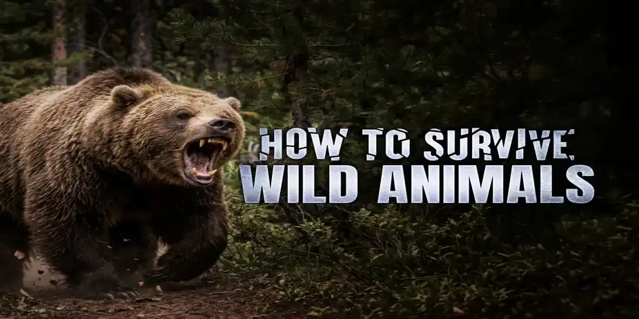 How to Survive: Wild Animals