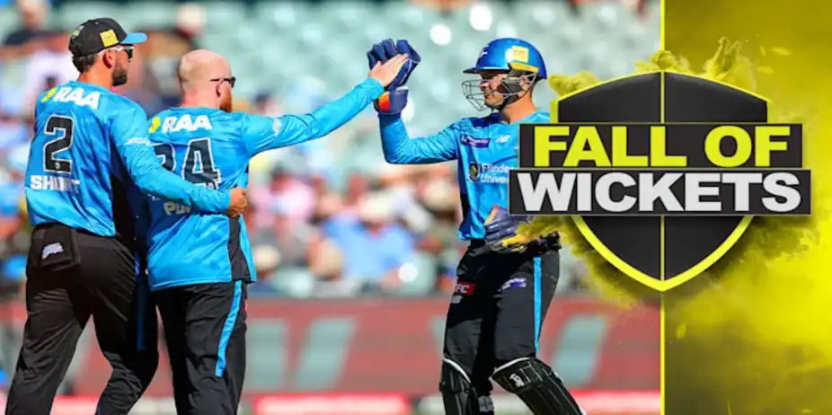 Melbourne Renegades Fall of Wickets vs Adelaide Strikers