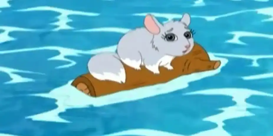 Go, Diego, Go! S1 E16 - Chinta the Baby Chinchilla