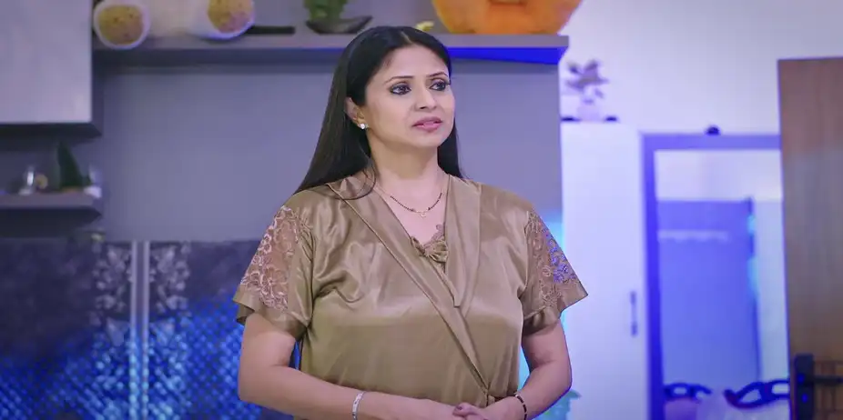 Agnisakshi - Hasemaneyali Hanebarahavu S1 E95 - Mallika's Secret Move against Agni
