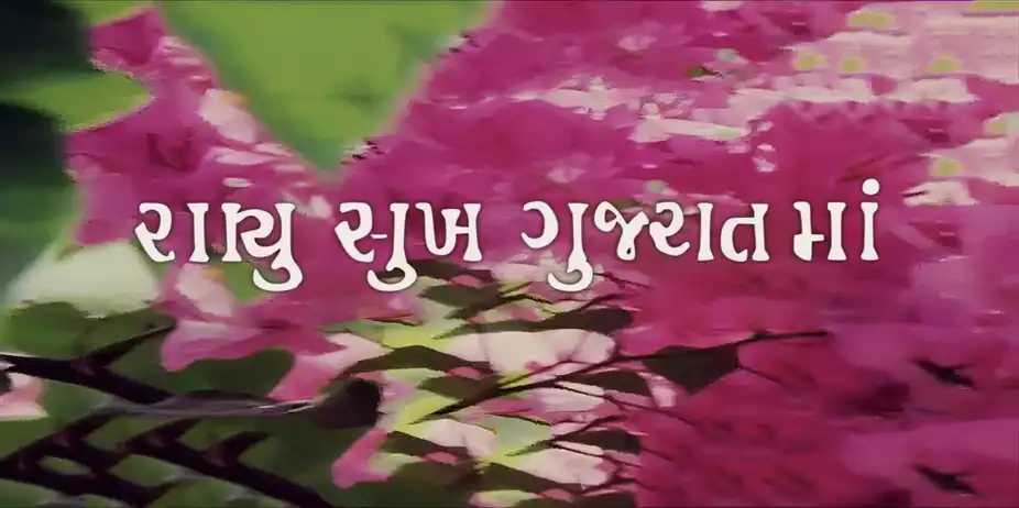 Sachu Sukh Gujarat Ma
