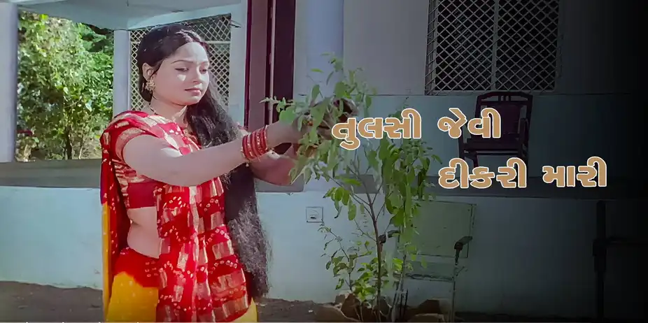 Tulsi Jevi Dikri Mari