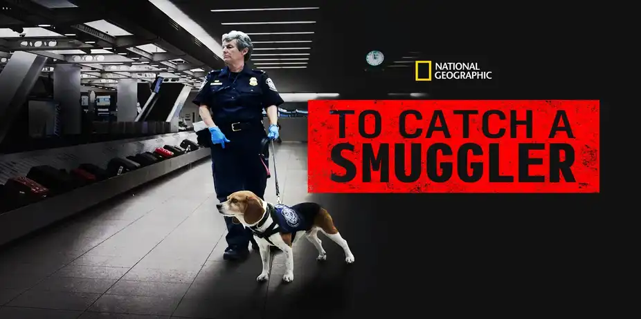 To Catch A Smuggler