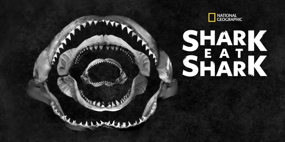 Shark Eat Shark
