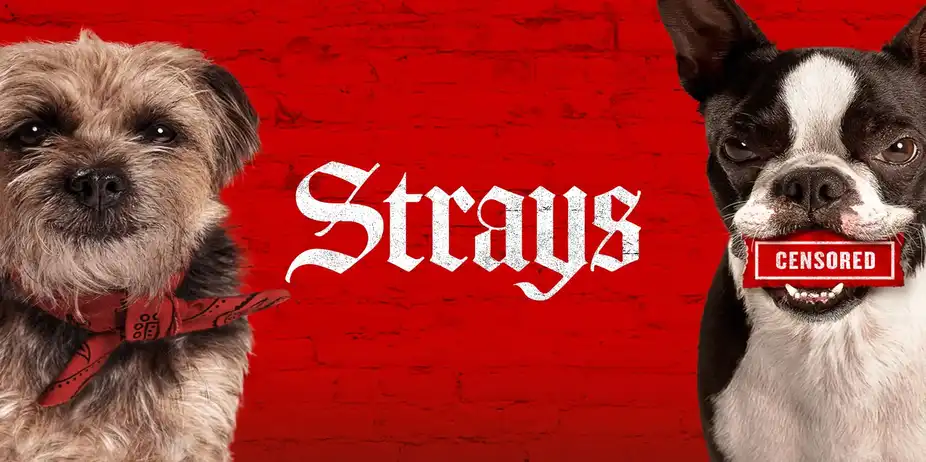 Strays