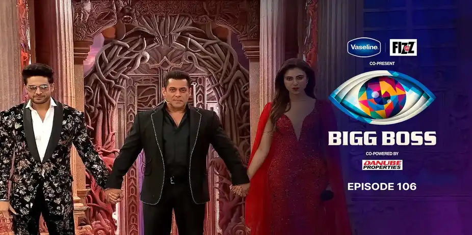 Bigg Boss S19 E106 - BBHin Day 105: Grand Finale
