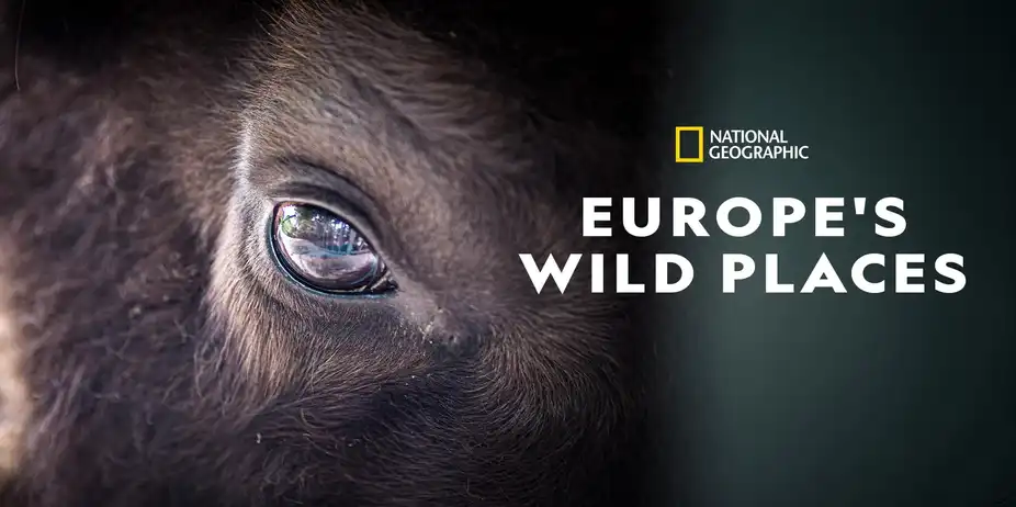 Europe's Wild Places