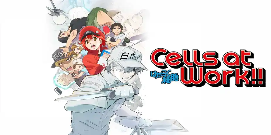 Cells At Work!