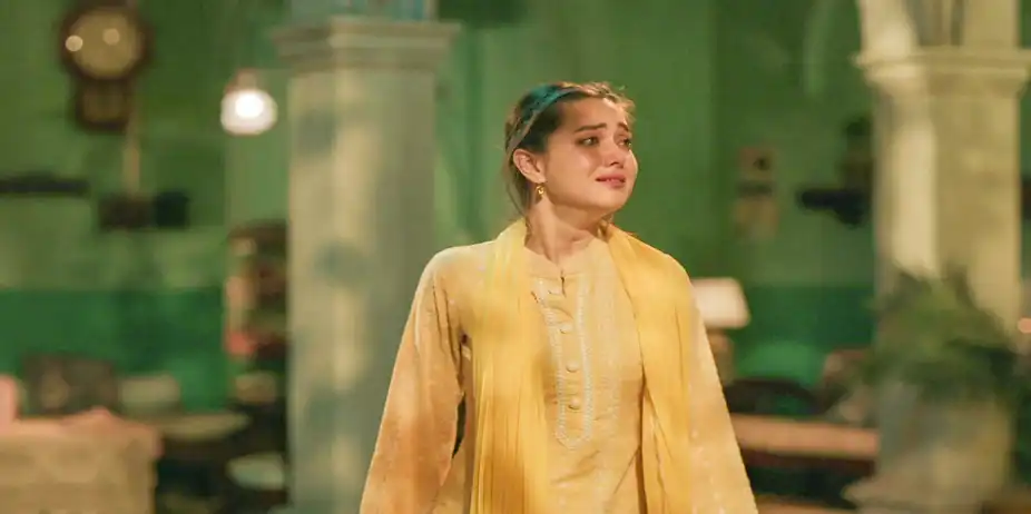 Seher Hone Ko Hai S1 E26 - Seher's Worry for Kausar