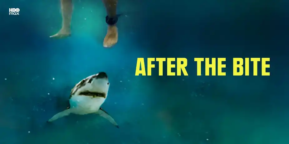 After The Bite
