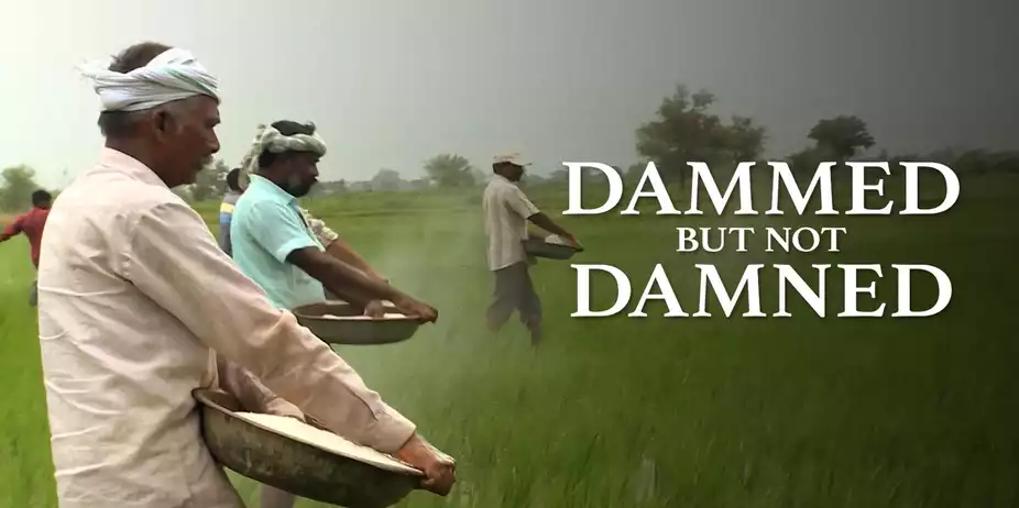 Dammed But Not Damned