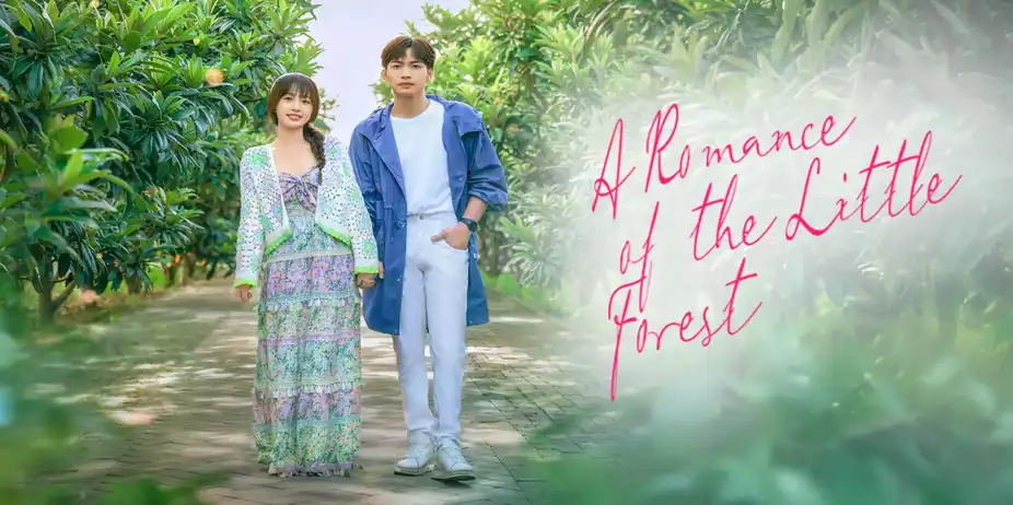 A Romance of the Little Forest