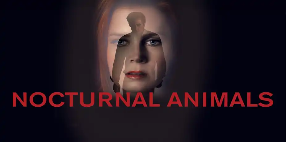 Nocturnal Animals