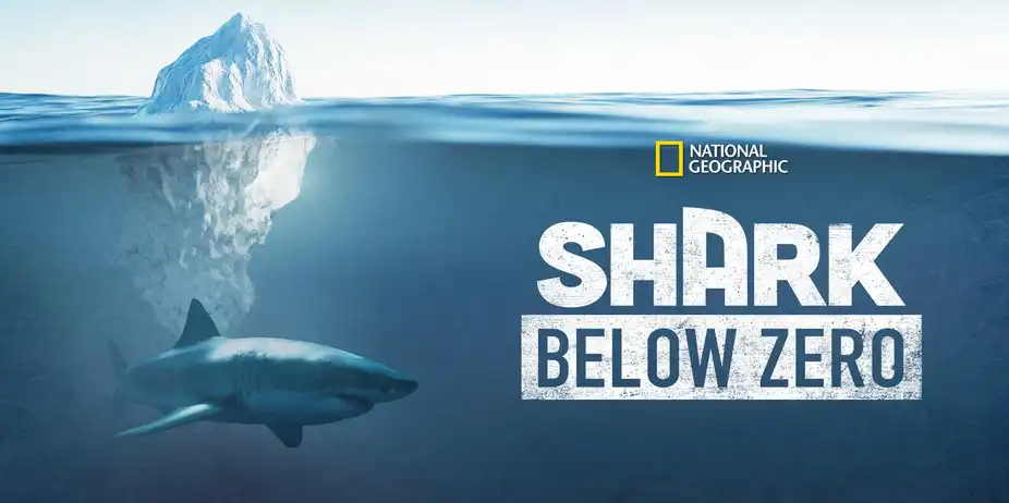 Shark Below Zero