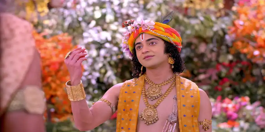 Watch Free Radha Krishna S1 E605 - Krishna Surprises Vidhurath and ...