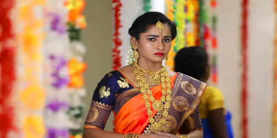 Avalum Naanum S1 E314 - Manasa Has a Plan!