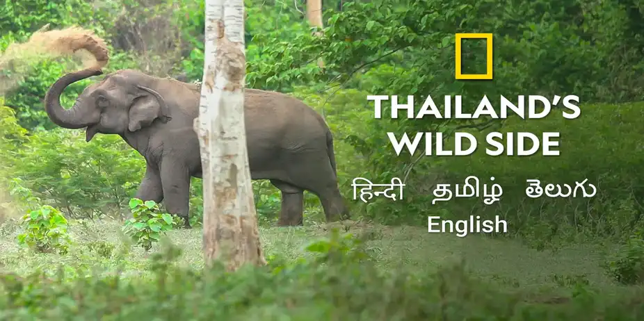 Thailand's Wild Side
