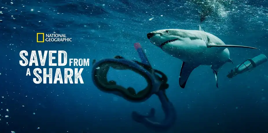 Saved from a Shark