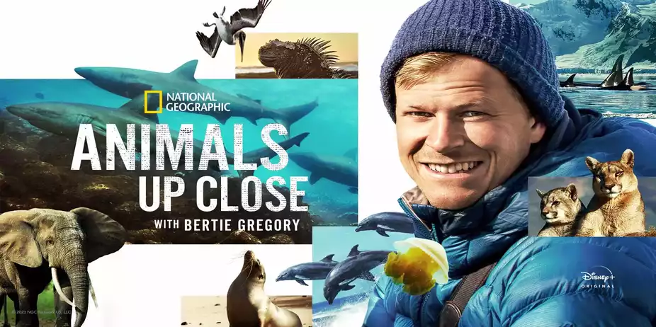 Animals Up Close with Bertie Gregory