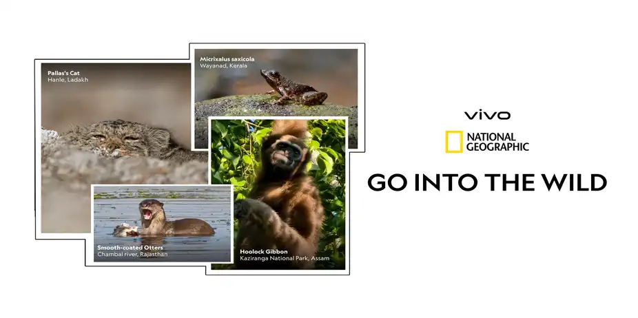 vivo GO INTO THE WILD