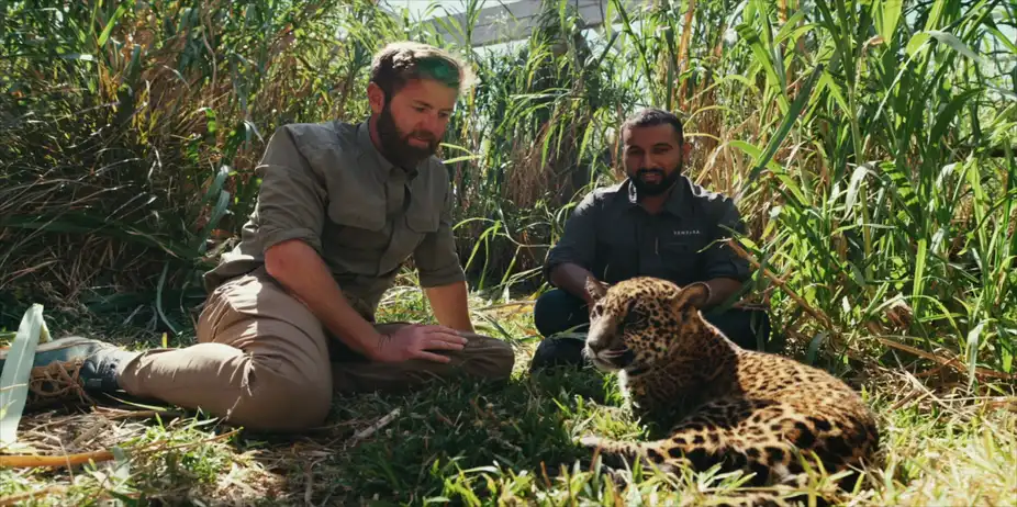 Vantara: Sanctuary Stories S1 E3 - Heroes of Healthcare