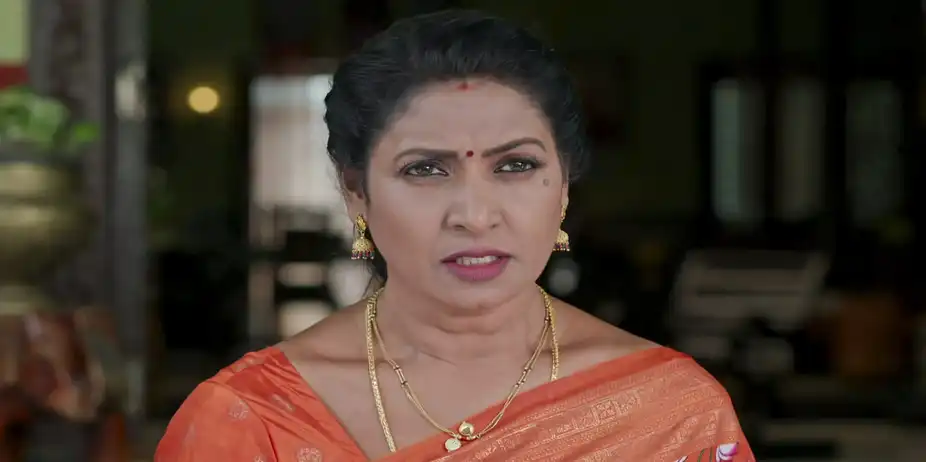 Illu Illalu Pillalu S1 E579 - Vedawathi Takes a Stand