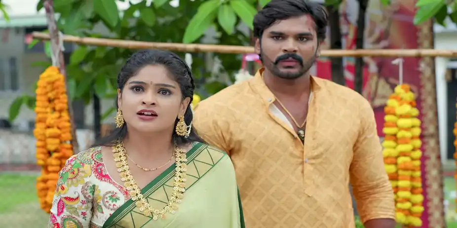 Watch Illu Illalu Pillalu S1 E290 - Vishwa's Aim to Bring Prema Home ...