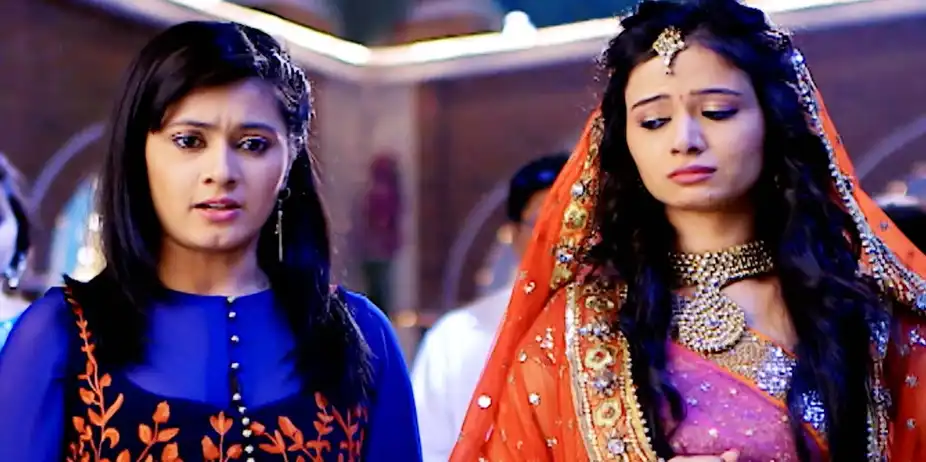 Panchi Takes a Stand!