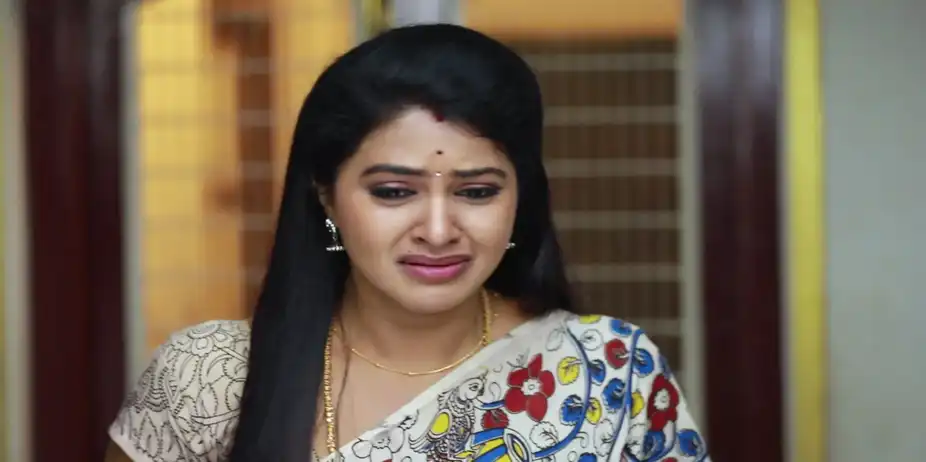 Saravanan Meenatchi S18 E229 - Meenakshi is Disappointed