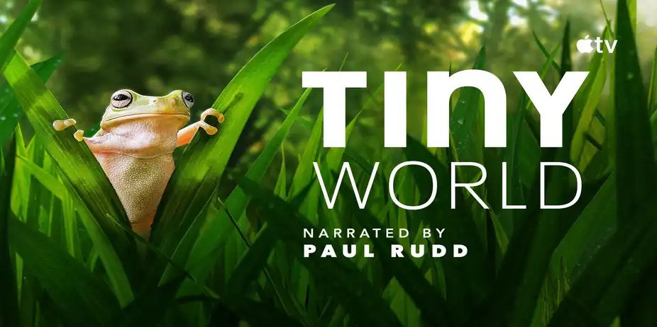 Tiny World