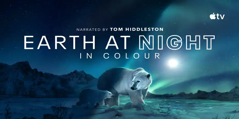 Earth at Night in Colour