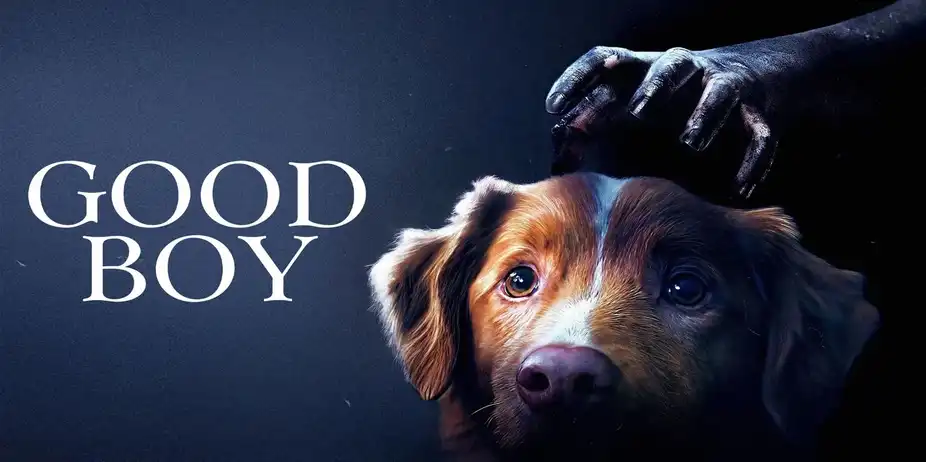 Good Boy