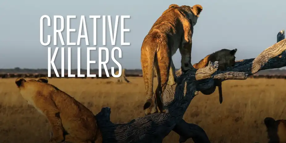 Creative Killers