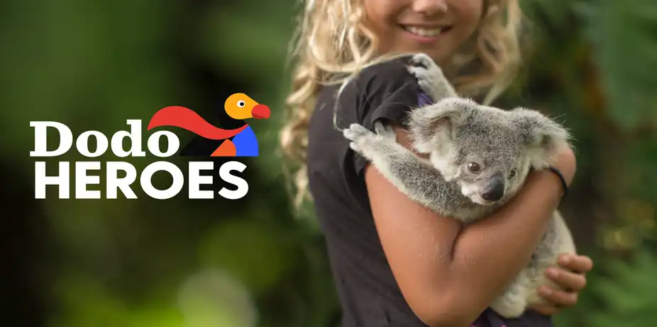 Dodo Heroes