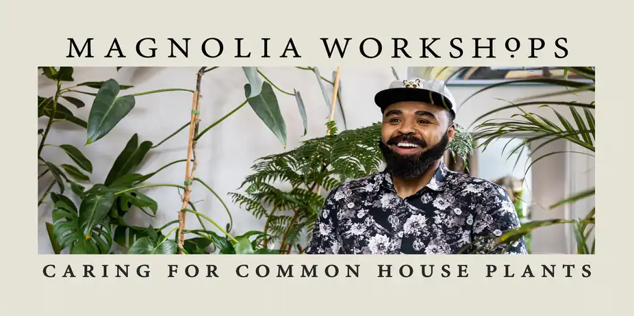 Magnolia Workshops: Caring for Common Houseplants