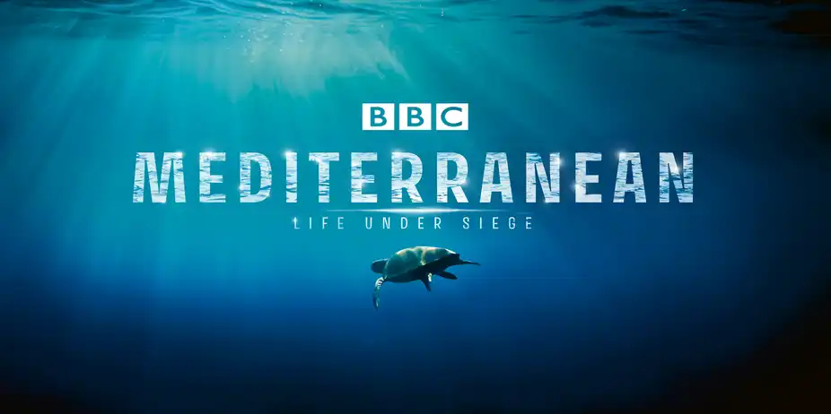 Mediterranean Life Under Siege
