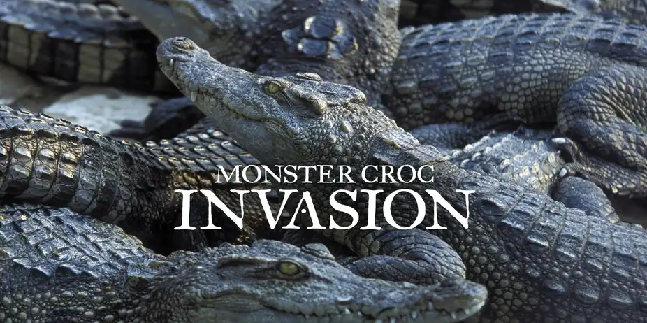 Monster Croc Invasion