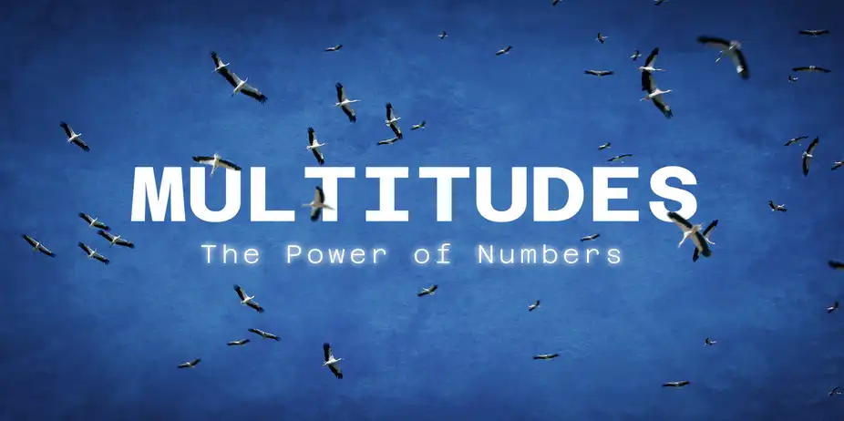 Multitudes: The Power of Numbers