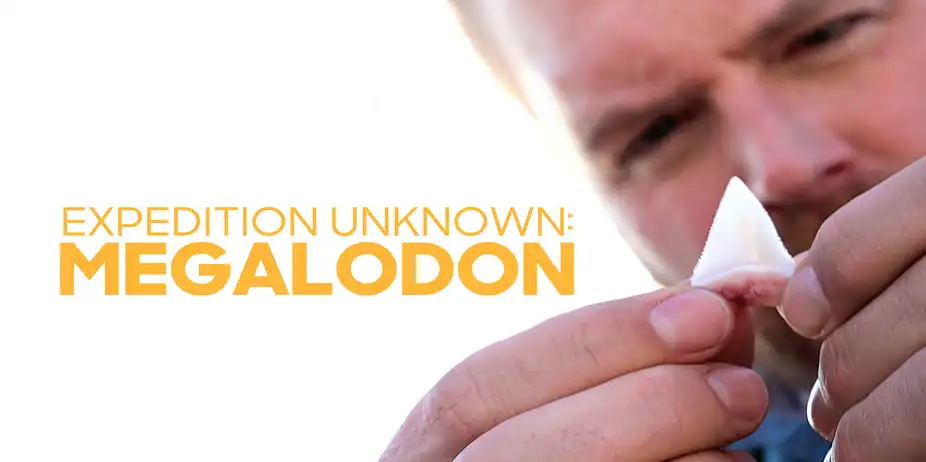 SW19 - Expedition Unknown: Megaladon