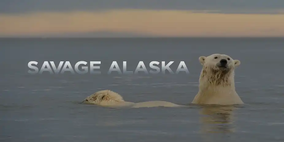 Savage Alaska